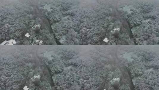 杭州雪景风光法喜寺下雪空镜高清在线视频素材下载