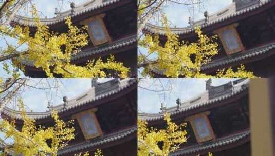 苏州寺庙高清在线视频素材下载