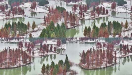航拍湿地公园雪景树林湖岛高清在线视频素材下载