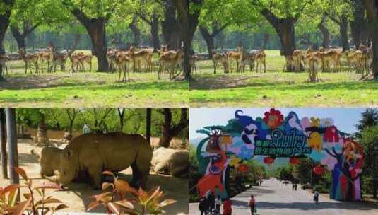 秦岭动物园游览高清在线视频素材下载