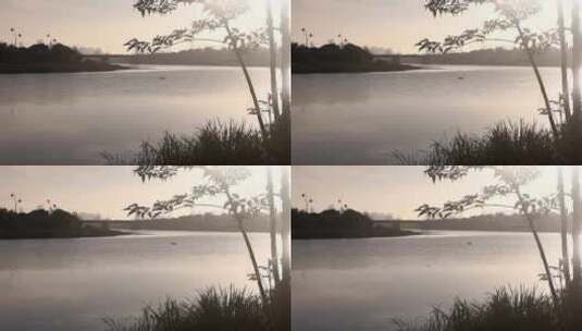 宁静水面波光粼粼  唯美大自然航拍高清在线视频素材下载