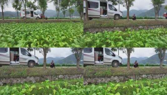 云南龙陵县平达乡草烟田航拍高清在线视频素材下载