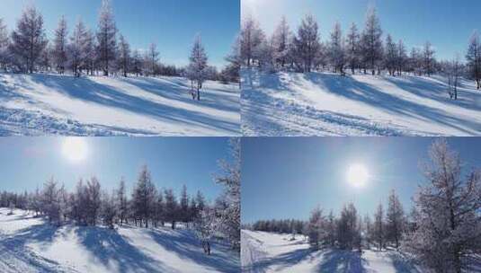 阳光下积雪覆盖树木的冬日景象高清在线视频素材下载