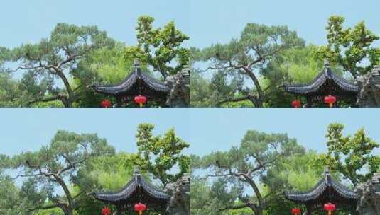 中式凉亭红灯笼树荫高清在线视频素材下载