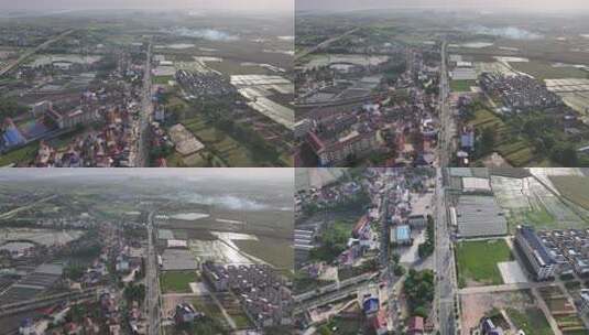 常德新枫林花海温室大棚高清在线视频素材下载