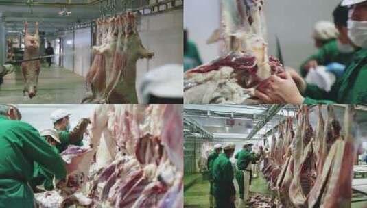 牛羊肉加工流水线高清在线视频素材下载