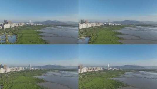 深圳福田红树林自然保护区航拍高清在线视频素材下载