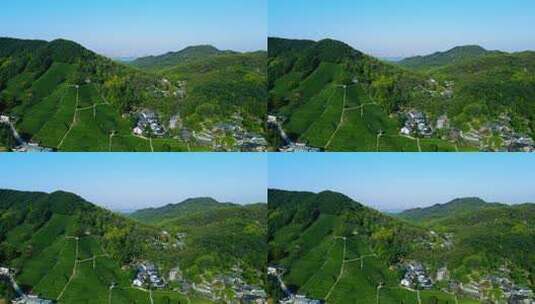 4k 航拍杭州西湖龙井茶乡农业种植特写高清在线视频素材下载