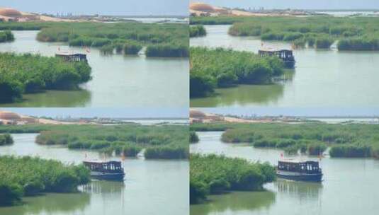 宁夏石嘴山沙湖旅游景区湿地游船观鸟高清在线视频素材下载