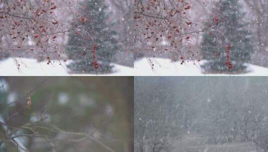 【合集】大雪纷飞的城市积雪高清在线视频素材下载