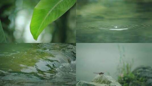 大自然流水蜻蜓小溪高清在线视频素材下载