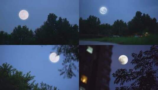中秋月亮空镜合集高清在线视频素材下载