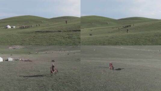 牧人在草原上放牧高清在线视频素材下载