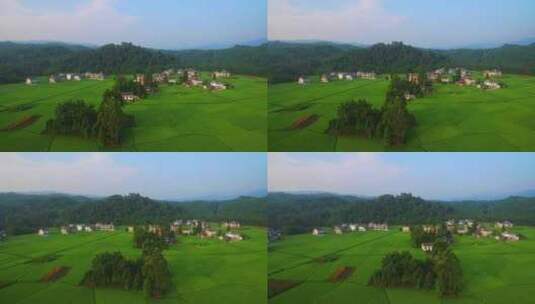 蓝天下美丽乡村绿色稻田环绕乡村美景高清在线视频素材下载