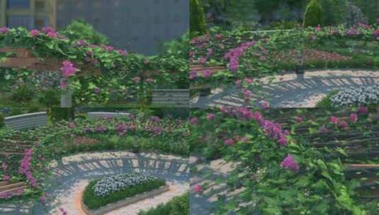 三维花架  三维景观园林 三维园林 三维花高清在线视频素材下载