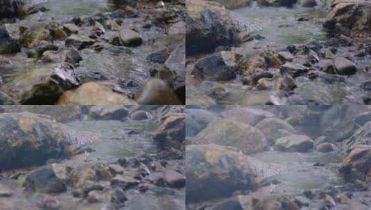 溪水 山涧水流 小溪流特写 岩石 清澈高清在线视频素材下载
