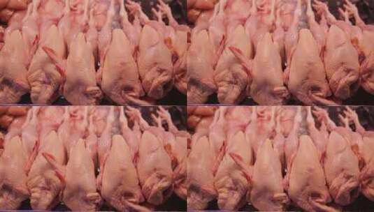 市场超市售卖整鸡 (2)高清在线视频素材下载