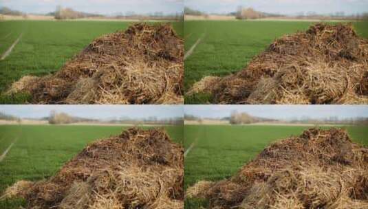 麦田边堆着的干草高清在线视频素材下载