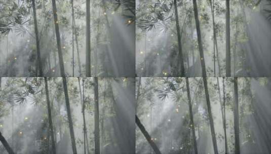 竹林里的晨雾和萤火虫高清在线视频素材下载