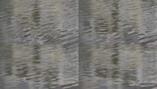 水中枯叶，表意镜头高清在线视频素材下载