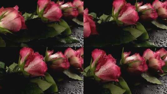 湿的粉红色玫瑰高清在线视频素材下载
