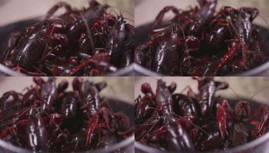 污染小龙虾食品安全高清在线视频素材下载