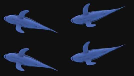 影视级三维鲨鱼水底动画合成特效 (3)高清在线视频素材下载