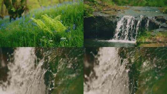 夏季森林植物慢镜头唯美合集高清在线视频素材下载