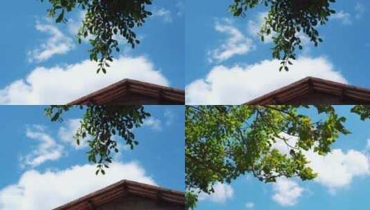 夏天蓝天白云唯美树叶小清新天空云朵夏日高清在线视频素材下载