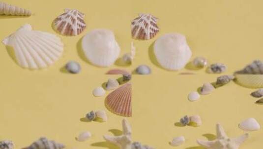 黄色背景上的贝壳高清在线视频素材下载