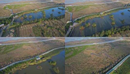 航拍福州闽江河口湿地公园高清在线视频素材下载