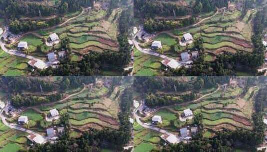 4k无人机航拍自然风光 绿色梯田中的村庄高清在线视频素材下载