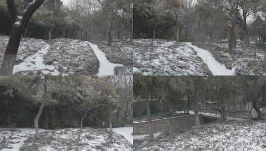 河南南阳人民公园冬季雪景高清在线视频素材下载