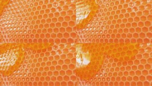 蜂巢和蜂蜜高清在线视频素材下载