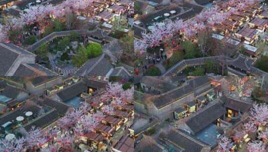 春天古建筑樱花与灯笼夜景航拍徐州市回龙窝高清在线视频素材下载