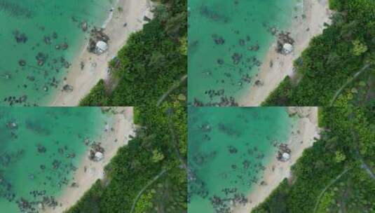 海南文昌海边椰林高清在线视频素材下载