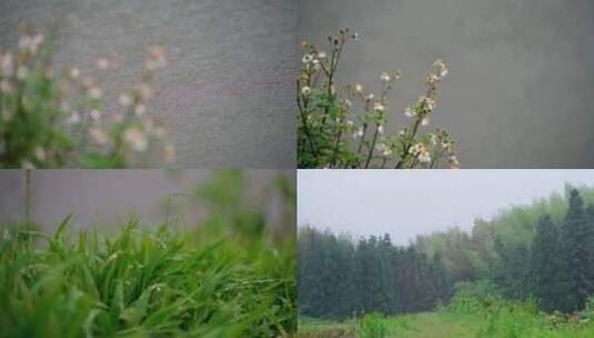 河流 水流   下雨天 树叶 水滴 下雨高清在线视频素材下载