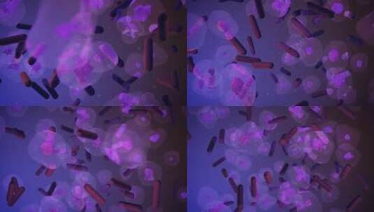 一群普通微生物、细菌或变形虫漂浮并导致疾高清在线视频素材下载