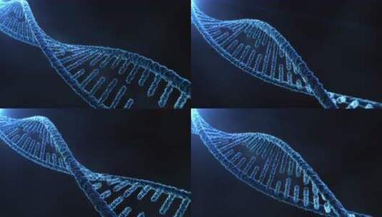 DNA分子结构4K高清在线视频素材下载