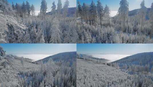 航拍冬天森林 冰雪世界高清在线视频素材下载