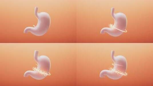 胃部与肠胃消化概念三维渲染高清在线视频素材下载