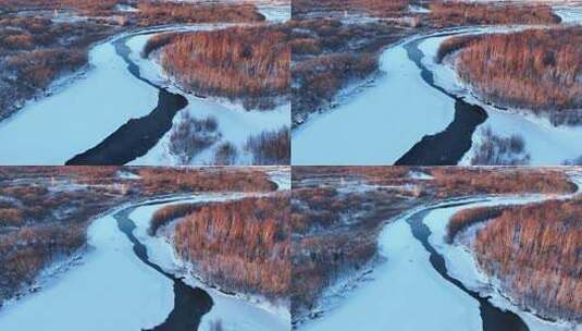 寒冬湿地河湾红柳雪景高清在线视频素材下载