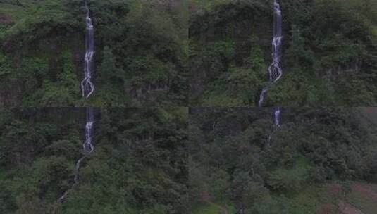 雷波马湖莼菜高清在线视频素材下载