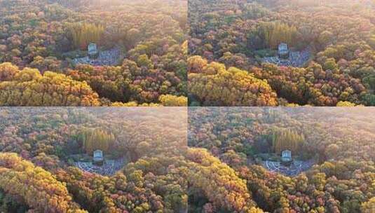 南京秋天 音乐台 中山 钟山风景区高清在线视频素材下载