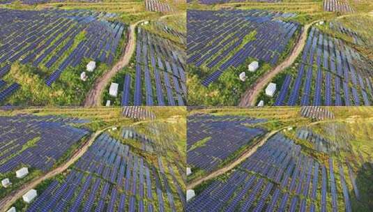 山坡上太阳能光伏发电站航拍高清在线视频素材下载