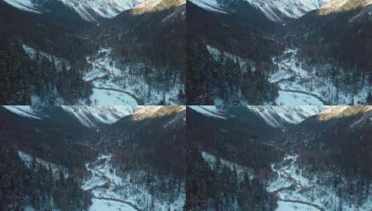 冬季雪山下的树林航拍4k高清在线视频素材下载