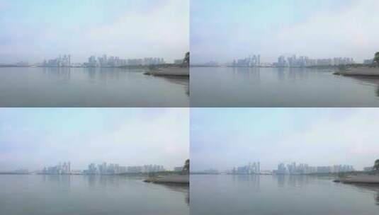 滨海建筑清晨深圳前海白鸟飞过海面高清在线视频素材下载
