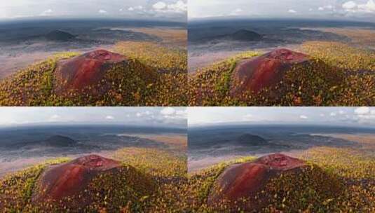火山上长满了黄色的花朵高清在线视频素材下载