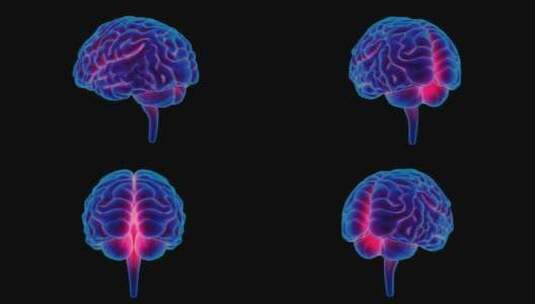 医学 大脑 脑科学 三维 脑ct1 模型高清在线视频素材下载