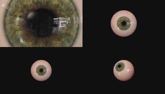 眼球 眼镜 医学 眼球结构 眼高清在线视频素材下载